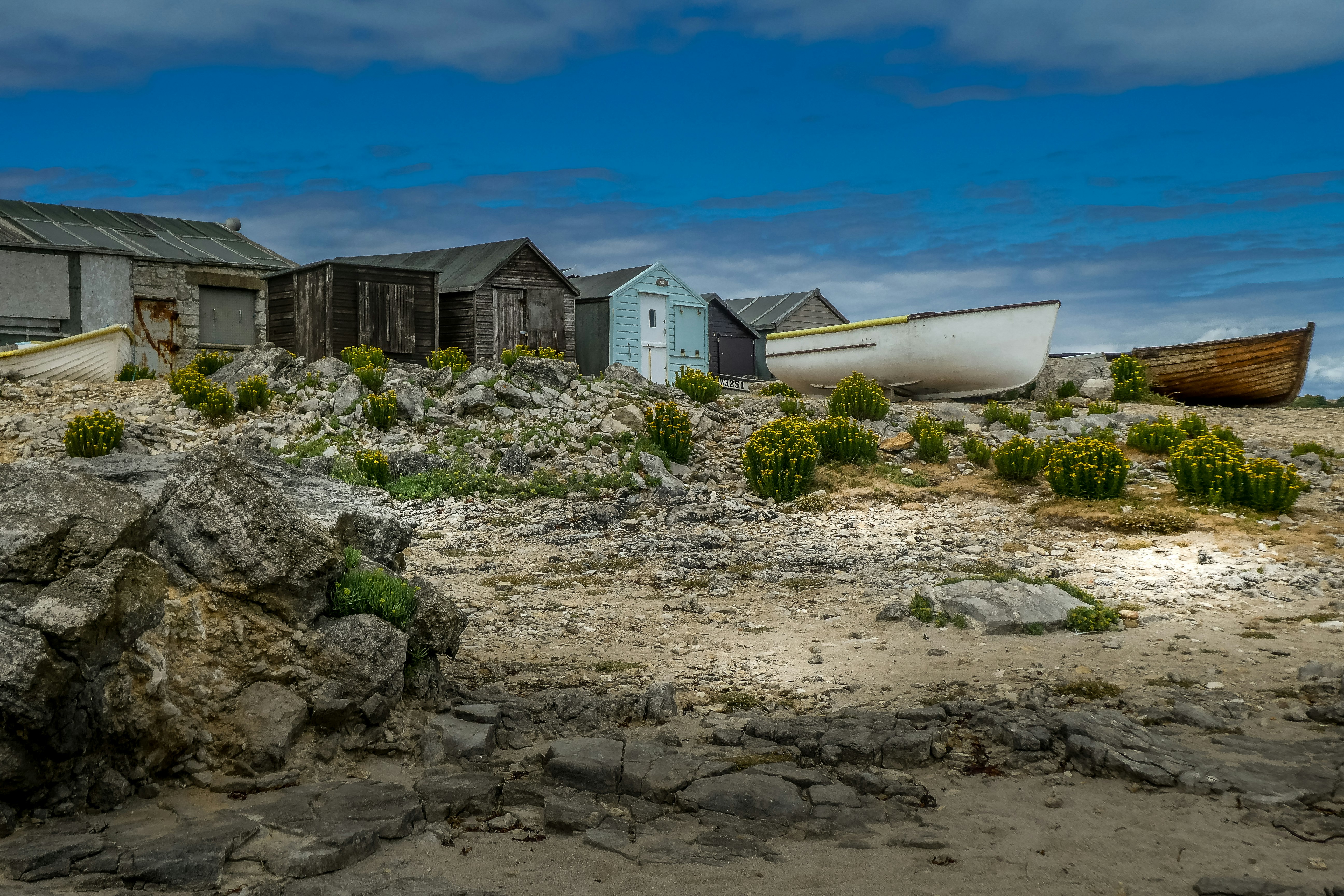 white boat on shore near houses